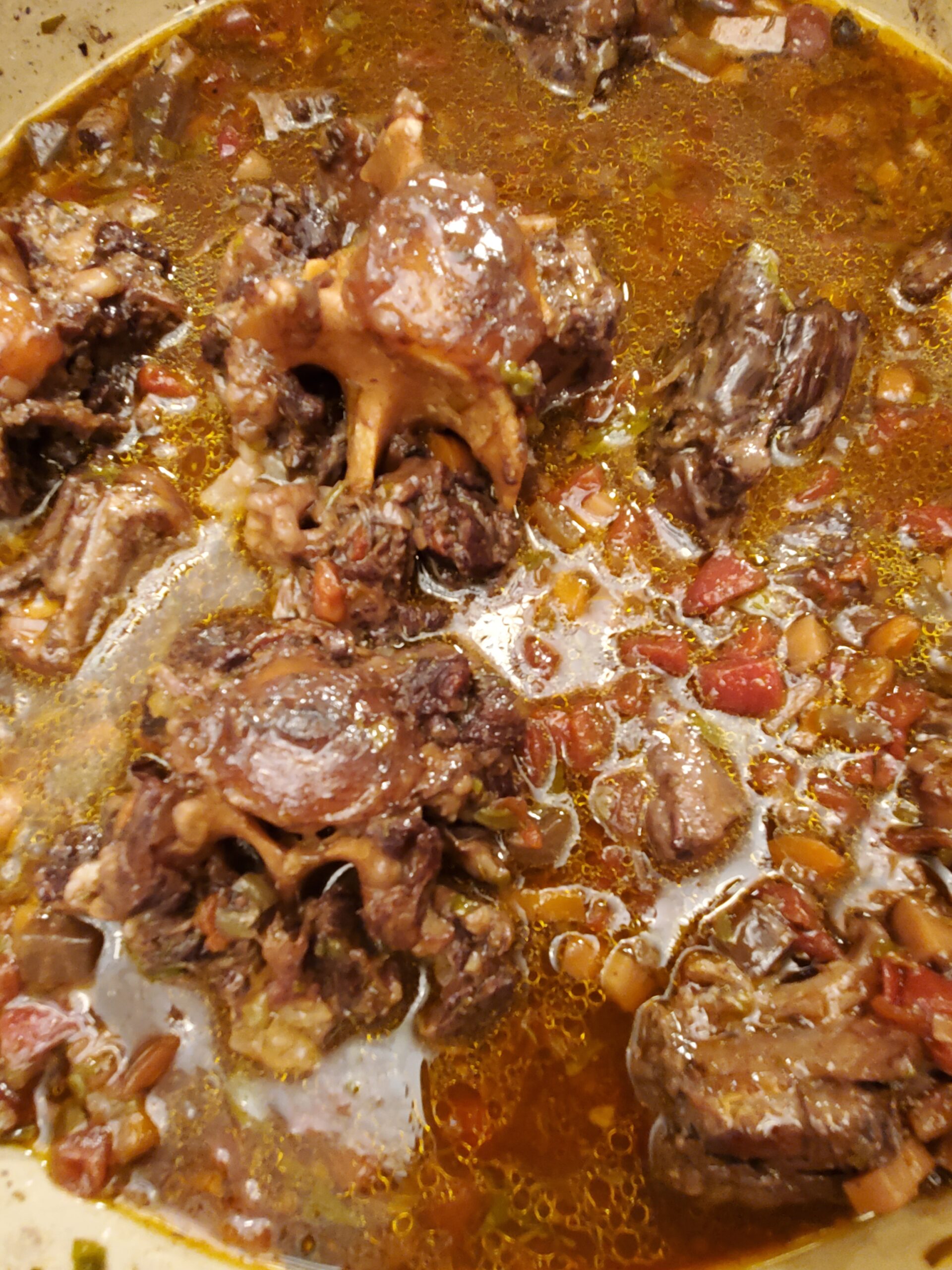 Oxtail Ragout 1 Oxtail Ragout 1